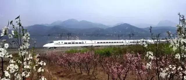 上海铁路客运迎来新发展 专访郭竹学局长解读重大信息